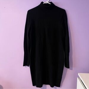 Express Turtleneck Sweater Mini Dress